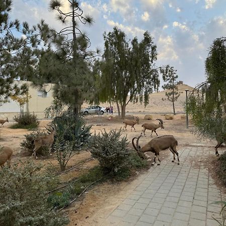 Apartamento הבית המדברי Mitzpe Ramon Exterior foto